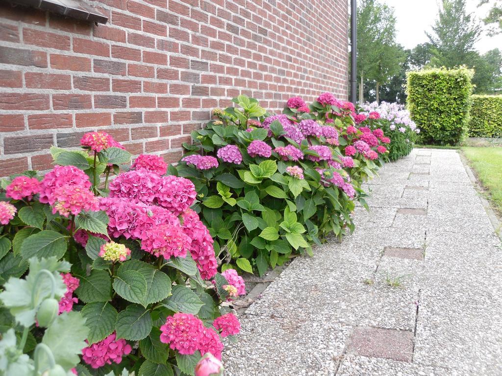 Nicolaashoeve Beemster Bed and Breakfast Noordbeemster Exterior foto